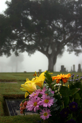Photo of flowers on a gravesite.